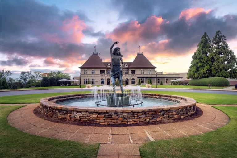 ProjectMap_100RueCharlegmaneDr_GA_01